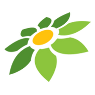 CANVAS MOD APK
